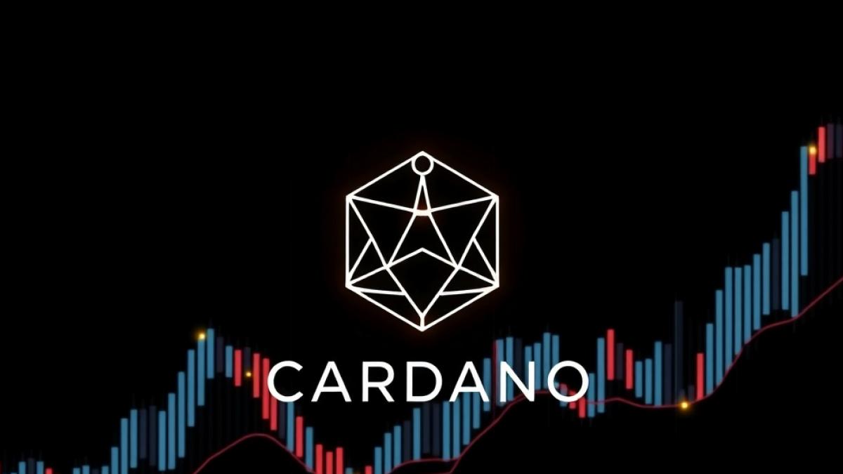 Cardano Son Zamanlarda Yeni Zirveler Görüyor