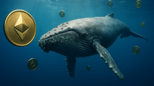 ethereum-balinalari-mayis-2025te-neler-yapiyor