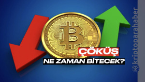 image_CEP5GT7MR6.png