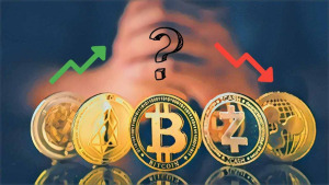 image_YH0MM01UMN.png