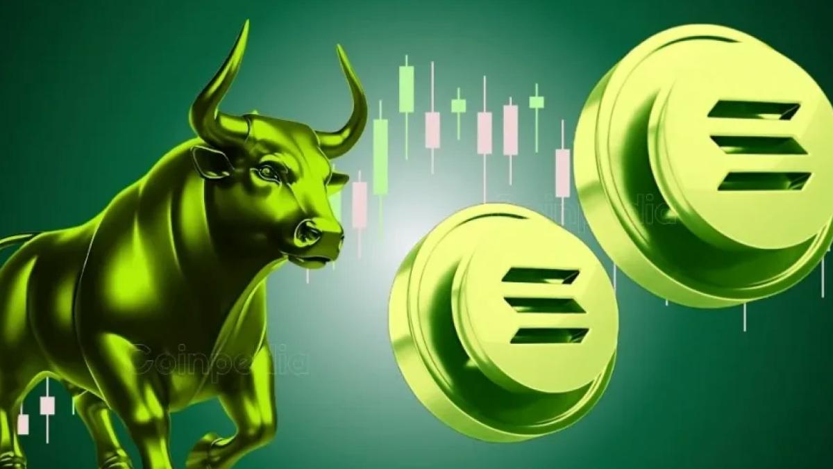 Whale Pulls $110M in SOL From Exchange, Solana Bull Run Imminent